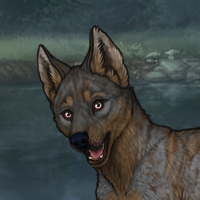 ((Pup))Sell Headshot