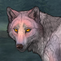 Wolf Headshot