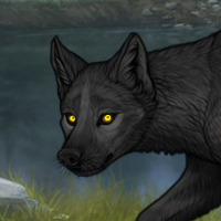 Yellow Headshot