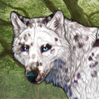 Wolf Headshot