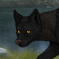 BlackFang Headshot