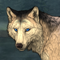 Wolf Headshot