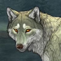 Lichenfur Headshot