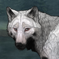 12th Gen. - Spirithusk Headshot