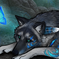 Wolf Headshot
