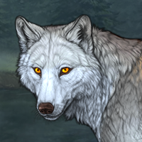 Wolf Headshot