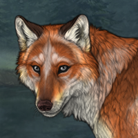 Female fox keep Headshot