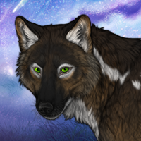 ☆Norenᴳ² Headshot