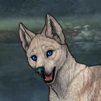 Enclave Pup Headshot