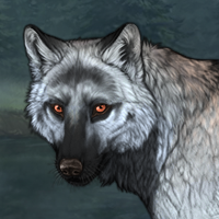 Wolf Headshot