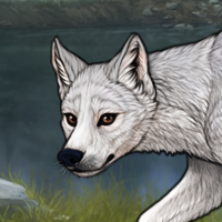 Argent pup Headshot