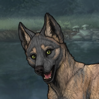 ((Pup))Sell Headshot