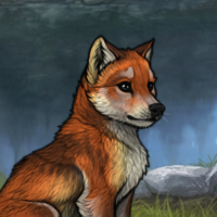 RC Fox Headshot