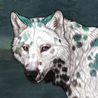 Dalmatian Pie Headshot