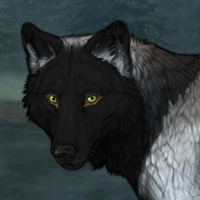 Wolf Headshot