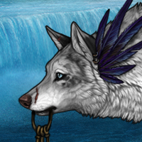 Wolf Headshot