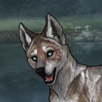 7M T2 Husky Headshot