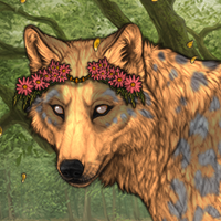 ~\Sightless/~ Headshot