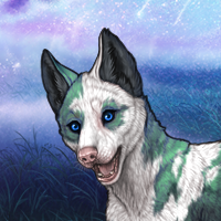 Piebald: Torn Headshot