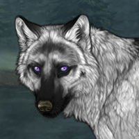 grey shaded husky Headshot