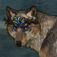 Seer Headshot