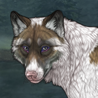 Tuff Piebald Headshot