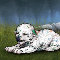 NIB G4 Dalmatian MEL Headshot