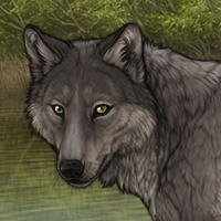 Acacia Headshot