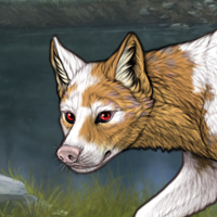 Piebald: Uneven Headshot