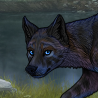 For wolfkin Headshot