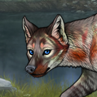 Forest (Merged) Headshot