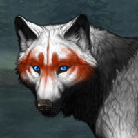 Wolf Headshot