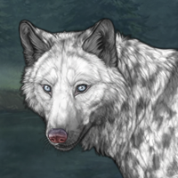 Cobblestone Winterwolf Headshot