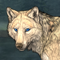 Wolf Headshot