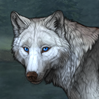 Wolf Headshot