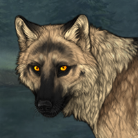 Wolf Headshot