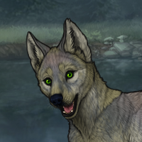 ((Pup))Fodder Headshot