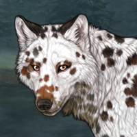 Dalmatian Headshot