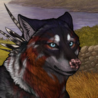 Wolf Headshot