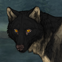 Wolf Headshot