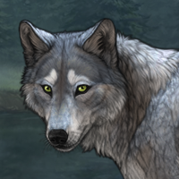 Frostfur Headshot