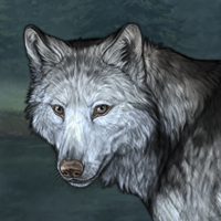 Wolf Headshot