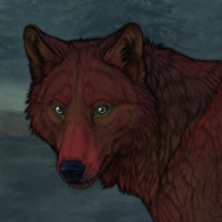 ቆRedwood Forest Headshot