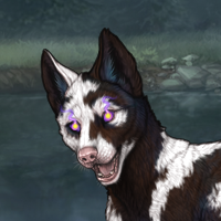 Walnut Piebald Headshot