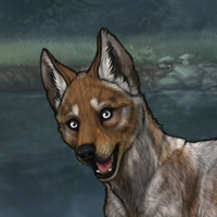 Zangar dog Headshot