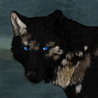 Kaihana Starfall Headshot