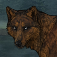 [C] Seal 6M 491 Headshot