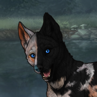 Patches: Split Male 3m T2 Headshot