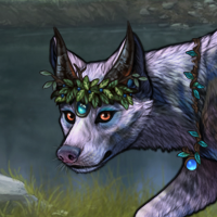 Borealis Headshot