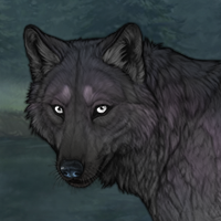 DuskPelt Headshot